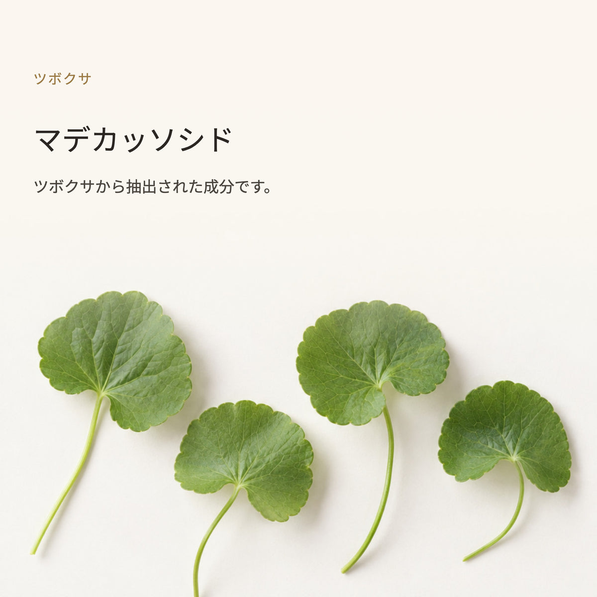 アクレスモイスト ジェル 30g（5枚目）