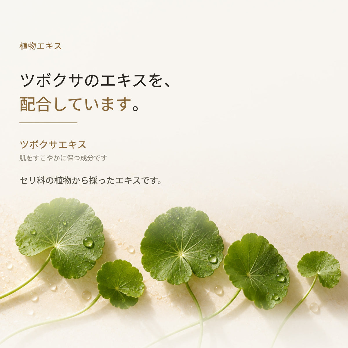 アイクリーム 20g（6枚目）
