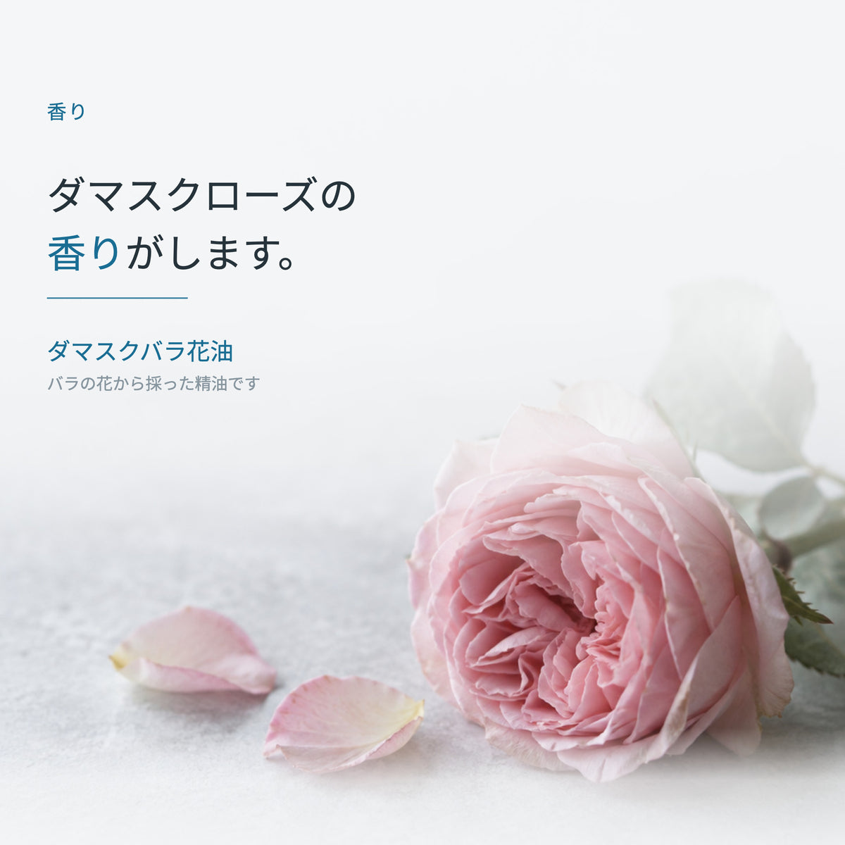 フェイスマスク バリエーション AGEs 30mL×10枚（6枚目）