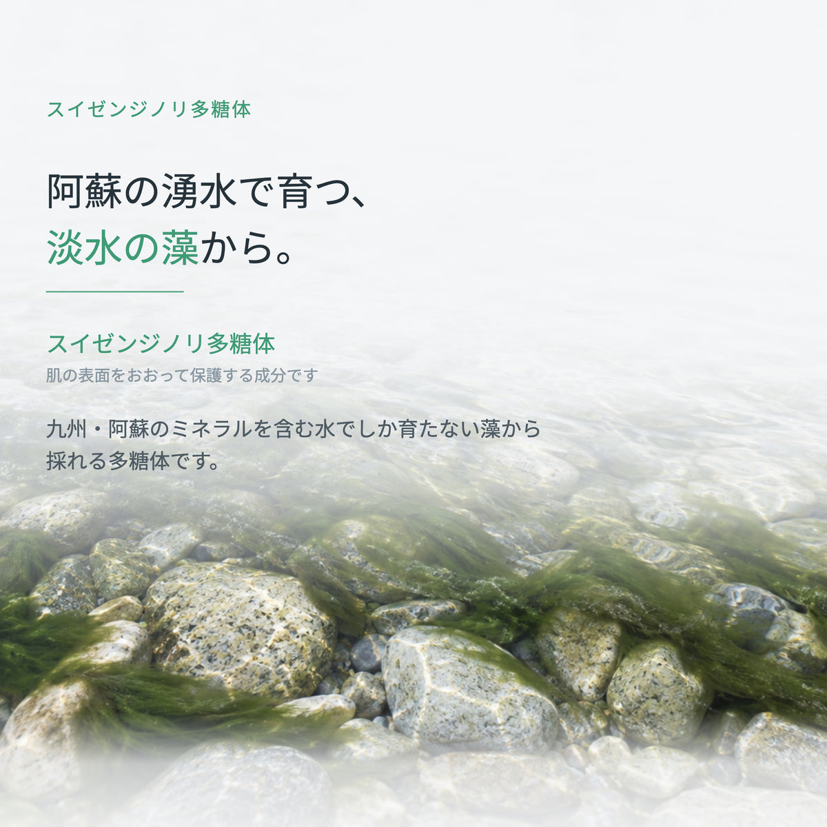 フェイスマスク バリエーション MO 30mL×10枚（3枚目）