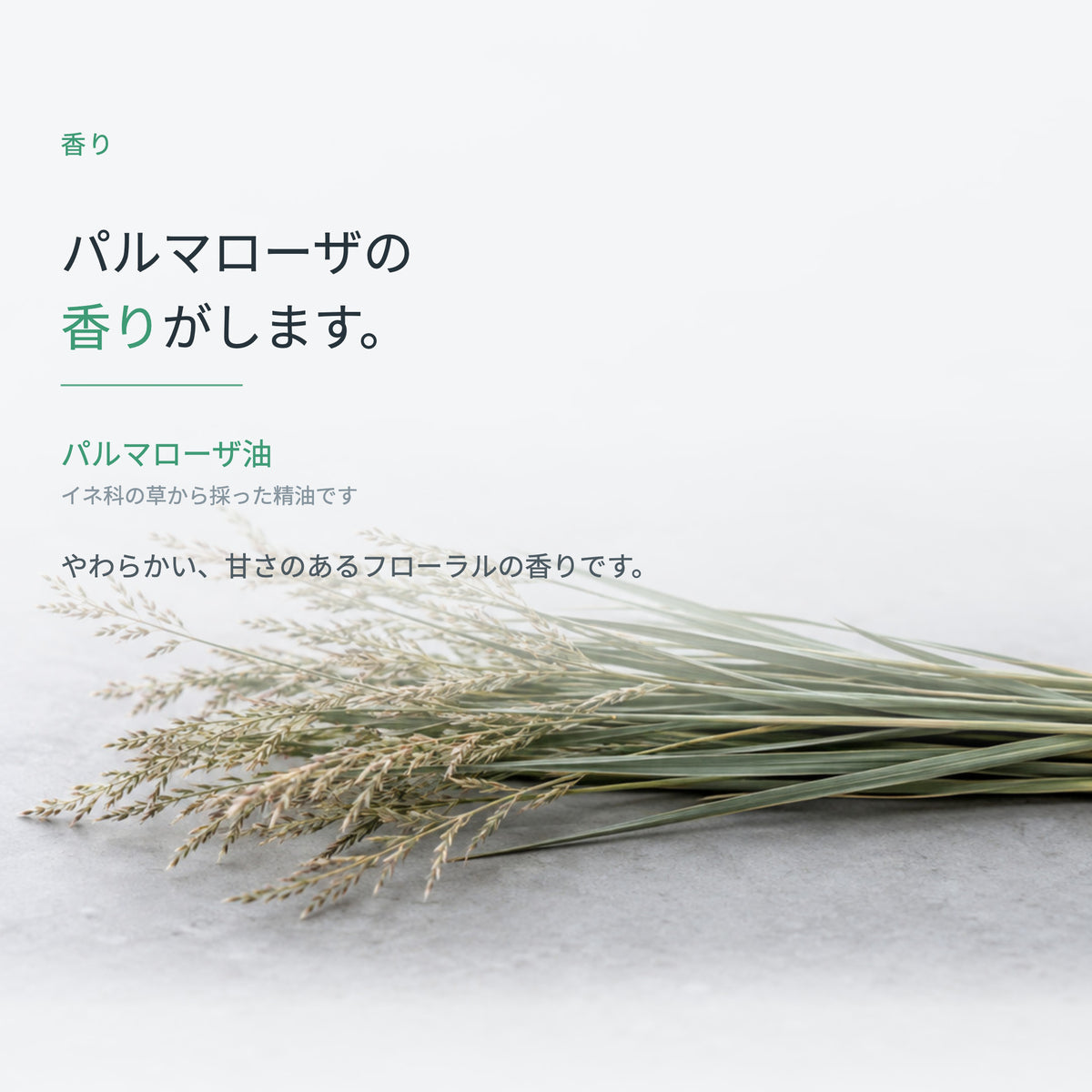 フェイスマスク バリエーション MO 30mL×10枚（6枚目）