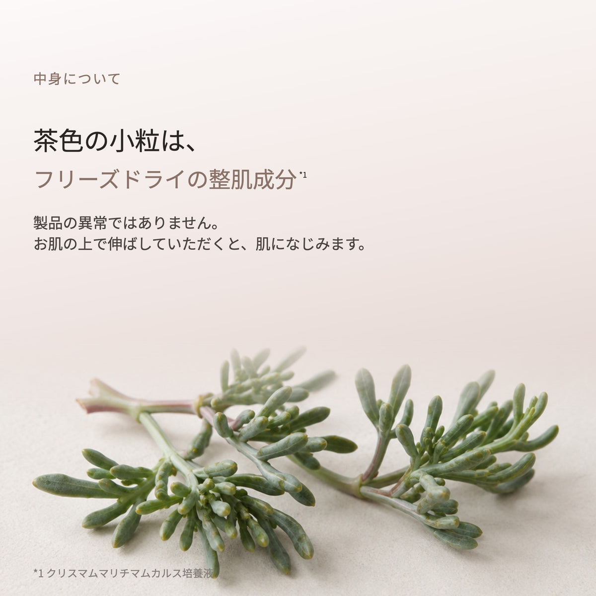 ファジーノ クリーム 30g（3枚目）