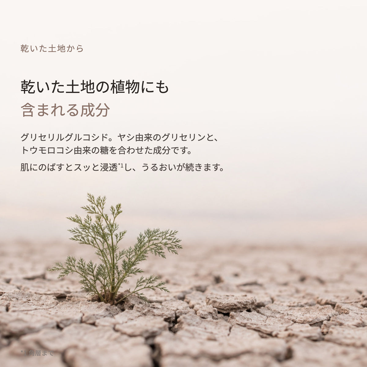ファジーノ ローション 110mL（3枚目）