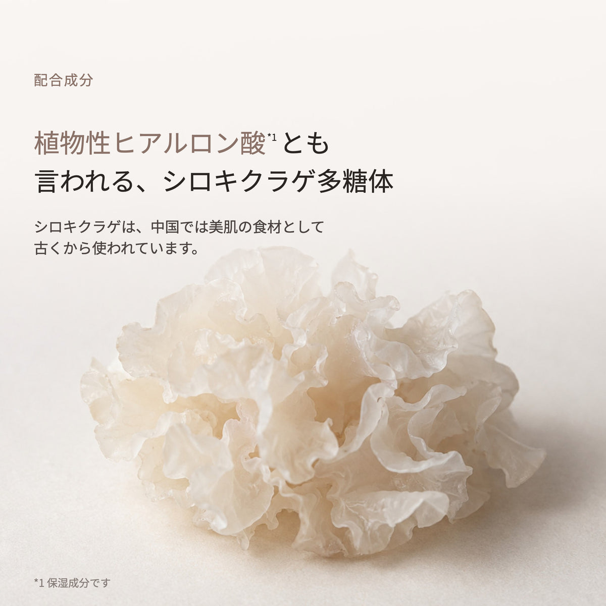 ファジーノ セラム 30mL（3枚目）