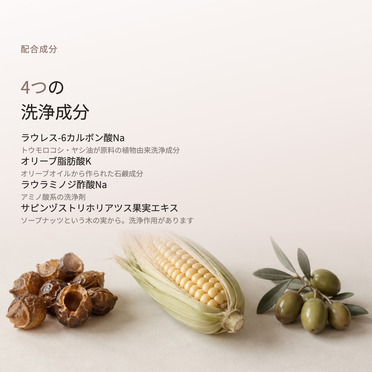 ファジーノ ウォッシュ 200mL（5枚目）
