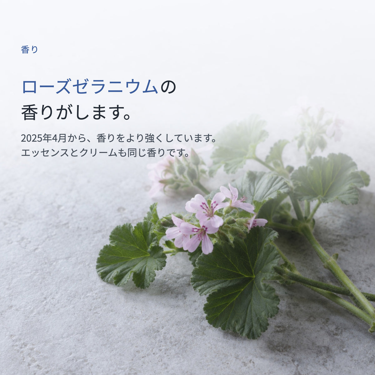Ge クレリア ローション 110mL（5枚目）