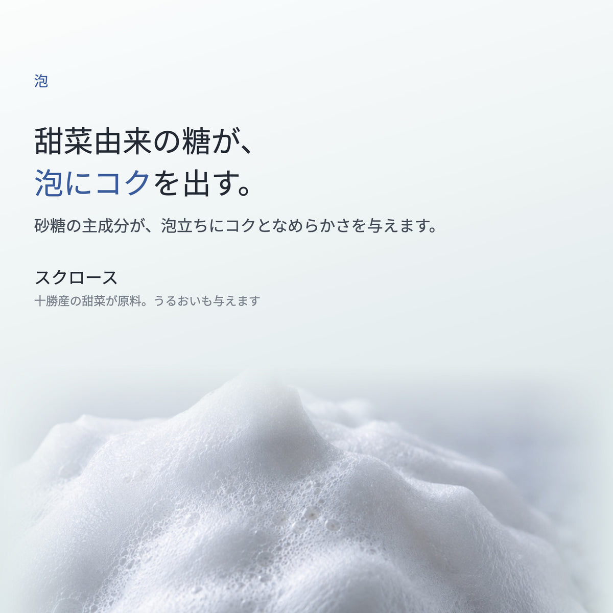 Ge クレリア ソリッドソープ 100g（3枚目）