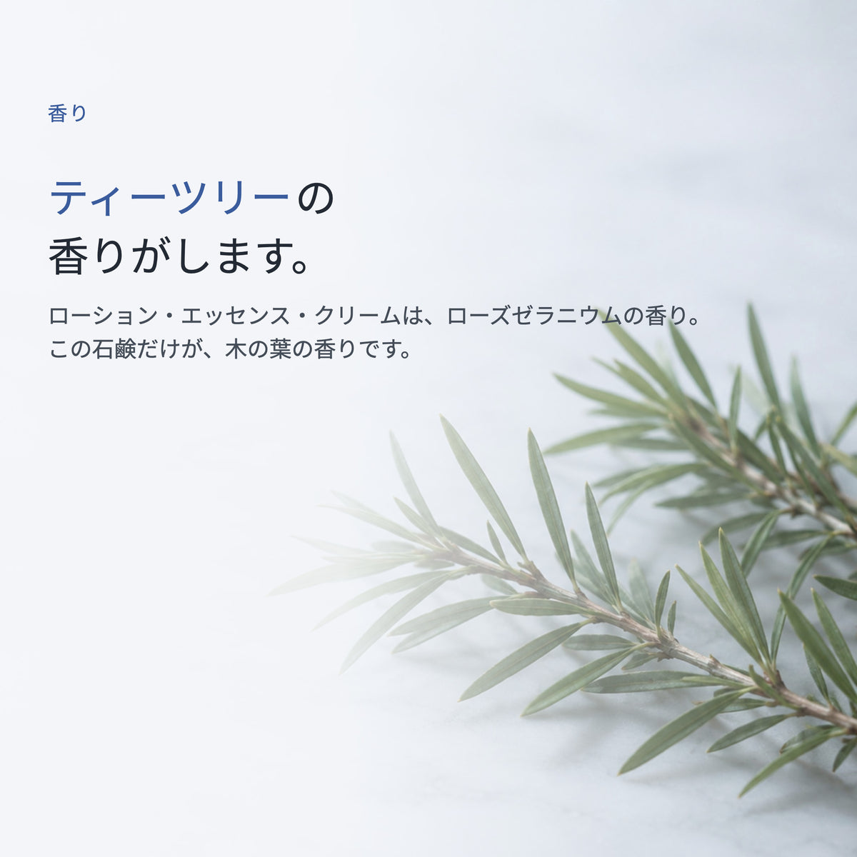 Ge クレリア ソリッドソープ 100g（4枚目）