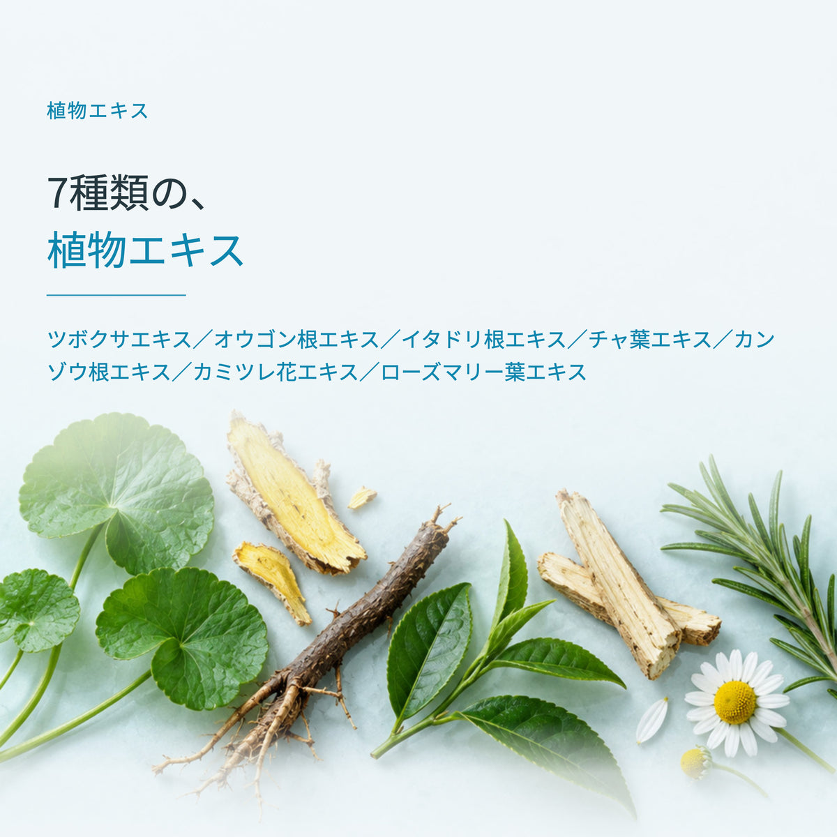 IHEA イン・フリークリーム 300mL（3枚目）