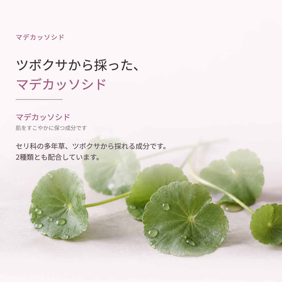 みっちりハンドクリーム 50g（4枚目）