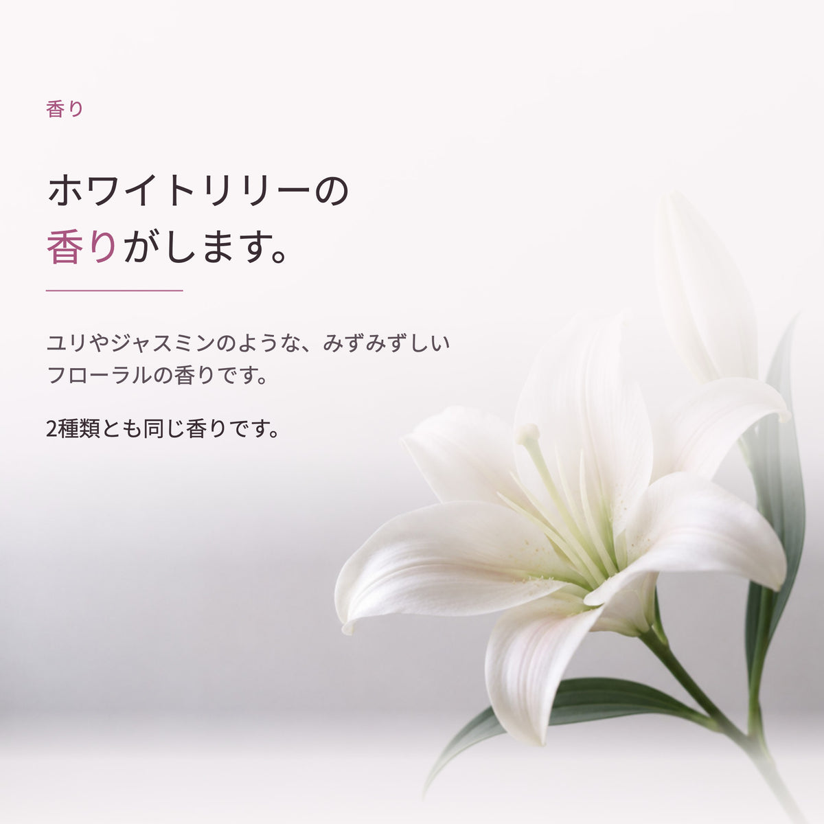 みっちりハンドクリーム 50g（7枚目）