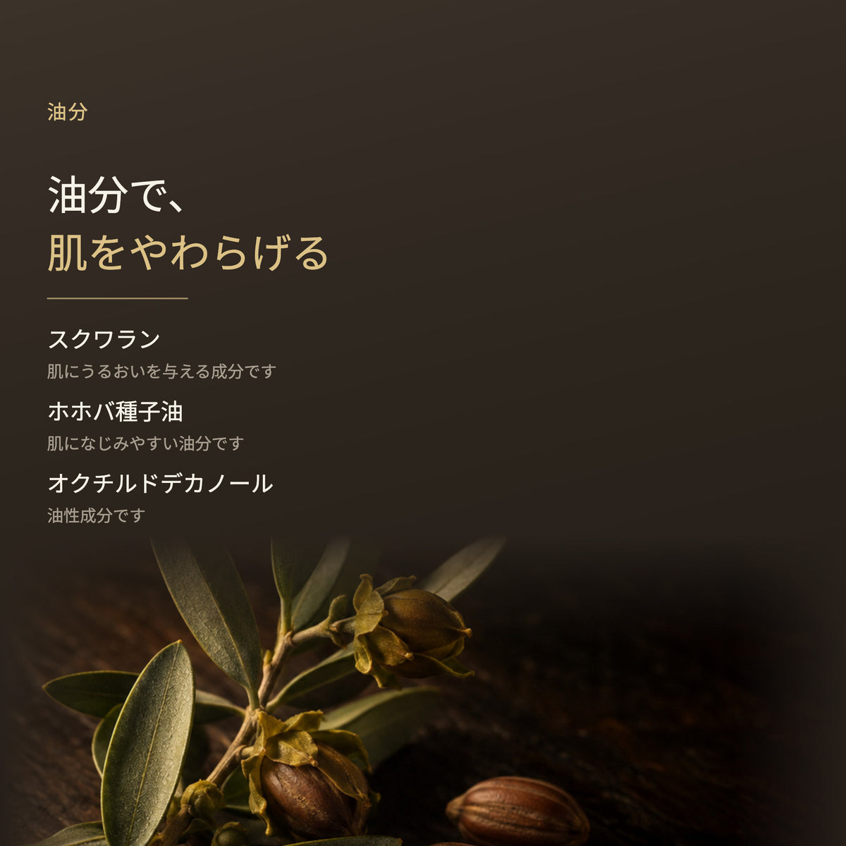 リジュベール クリーム 30g（5枚目）