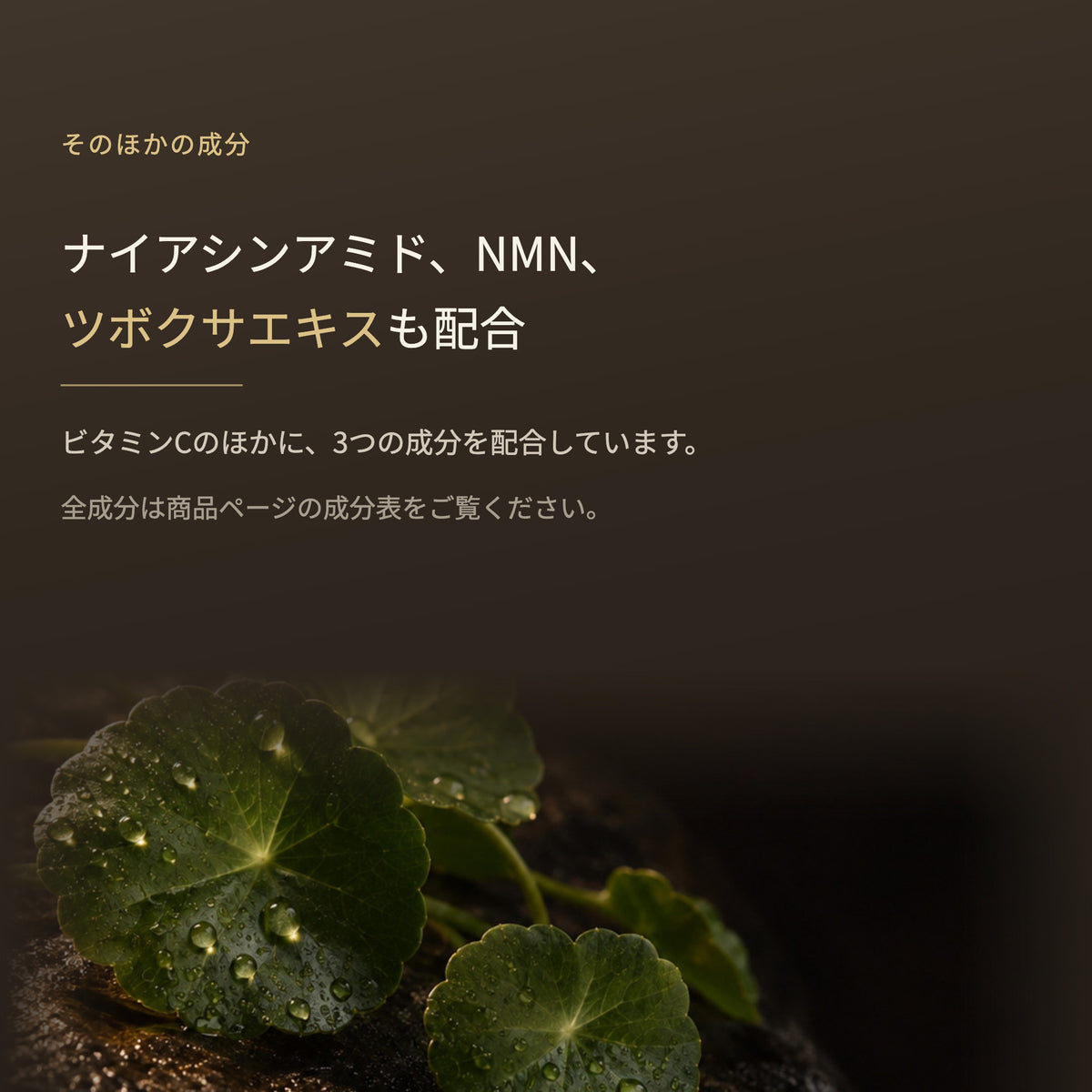 リジュベール エッセンス 30mL（5枚目）