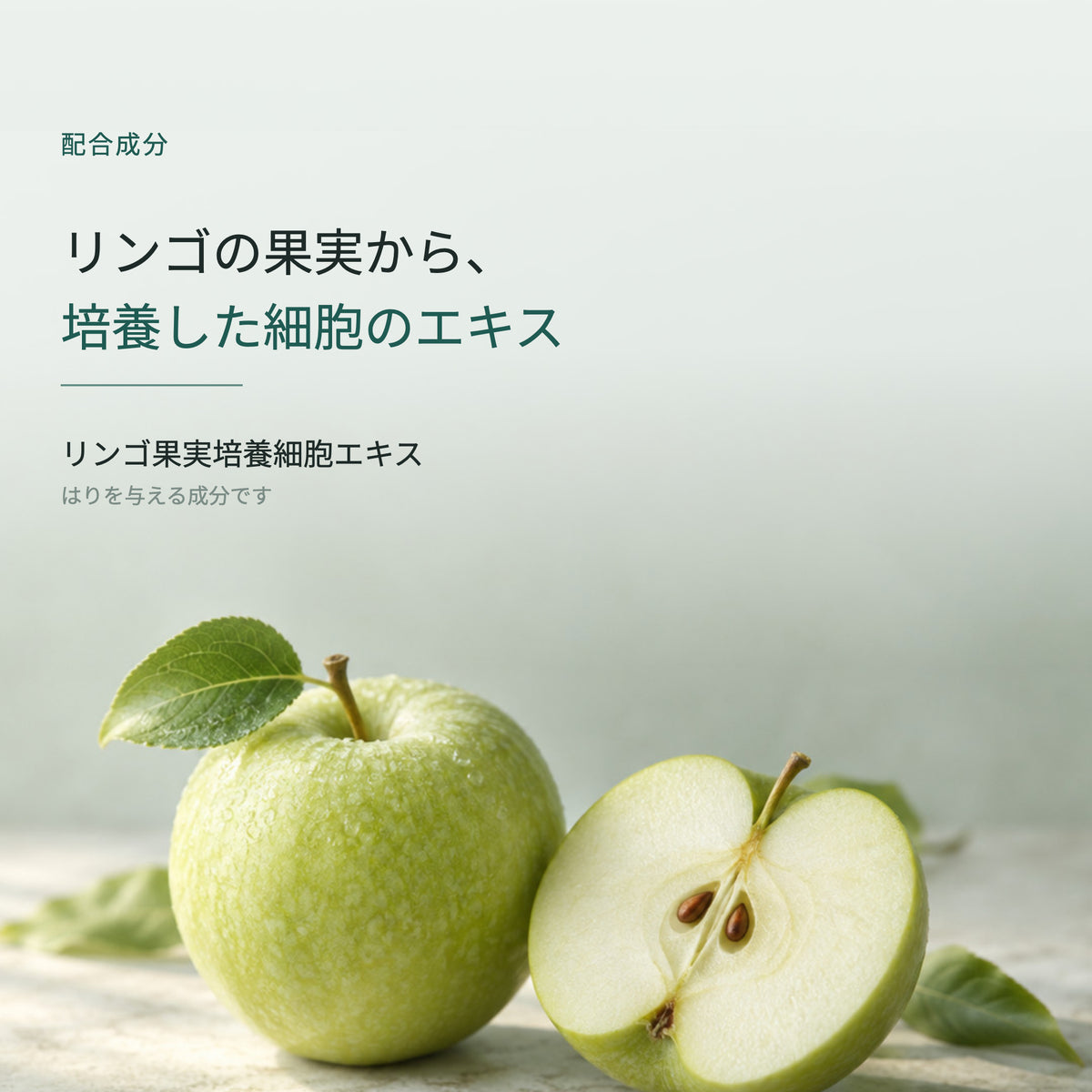 テロメックス ローション 100mL（3枚目）