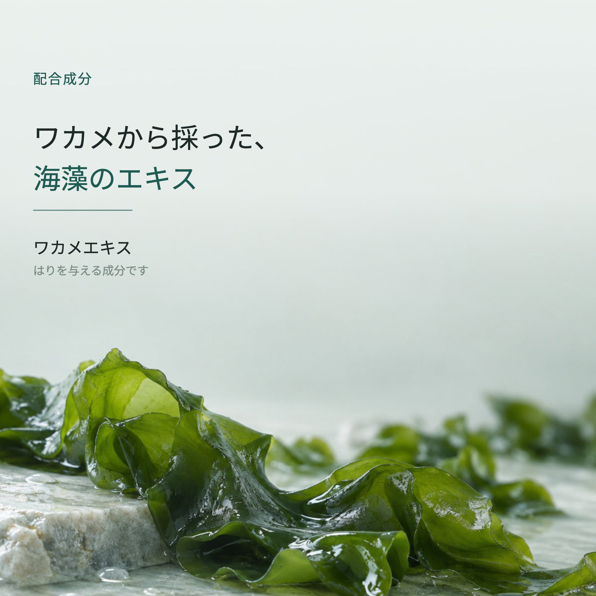 テロメックス ローション 100mL（4枚目）